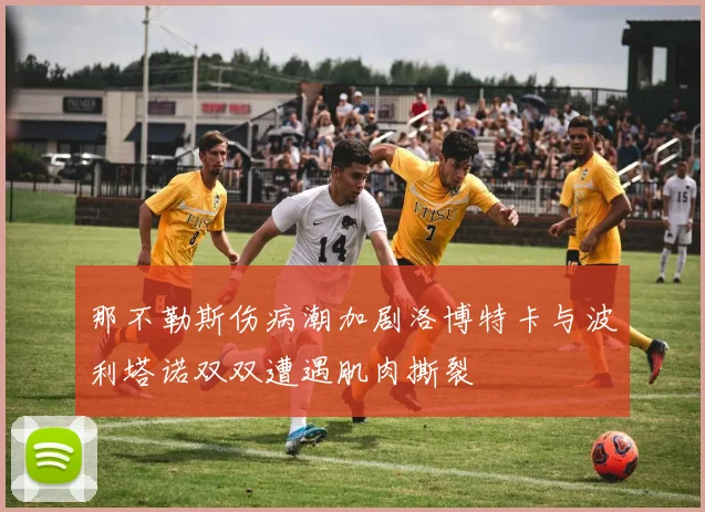 那不勒斯伤病潮加剧洛博特卡与波利塔诺双双遭遇肌肉撕裂