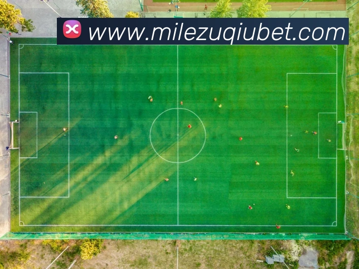 米乐体育发展历程